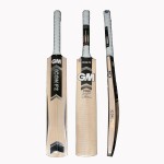 GM Icon Striker Kashmir Willow Cricket Bat